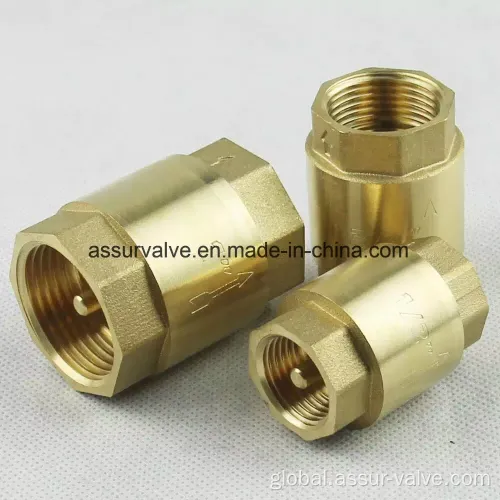 Stainless Steel Spring Check Valves Brass Spring Check Valve with Filter as-C003 Manufactory